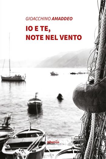 Io e te, note nel vento - Gioacchino Amaddeo - Libro Gruppo Albatros Il Filo 2022, Nuove voci | Libraccio.it
