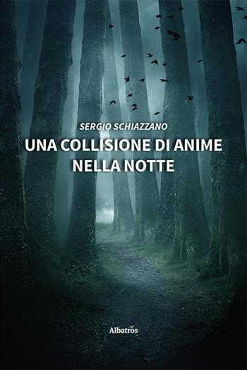 Una collisione di anime nella notte - Sergio Schiazzano - Libro Gruppo Albatros Il Filo 2022, Nuove voci. Strade | Libraccio.it