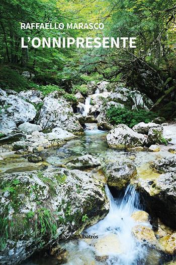 L'onnipresente - Raffaello Marasco - Libro Gruppo Albatros Il Filo 2023, Nuove voci. Strade | Libraccio.it