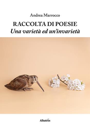 Raccolta di poesie. Una varietà ed un'invarietà - Andrea Marrocco - Libro Gruppo Albatros Il Filo 2024, Nuove voci. Le piume | Libraccio.it