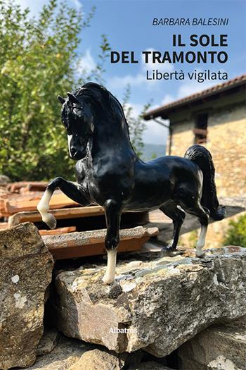 Il sole del tramonto - Barbara Balesini - Libro Gruppo Albatros Il Filo 2024, Nuove voci. Strade | Libraccio.it