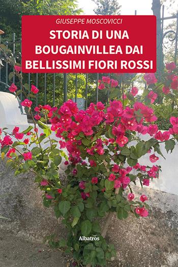 Storia di una bougainvillea dai bellissimi fiori rossi - Giuseppe Moscovicci - Libro Gruppo Albatros Il Filo 2024, Nuove voci. Vite | Libraccio.it