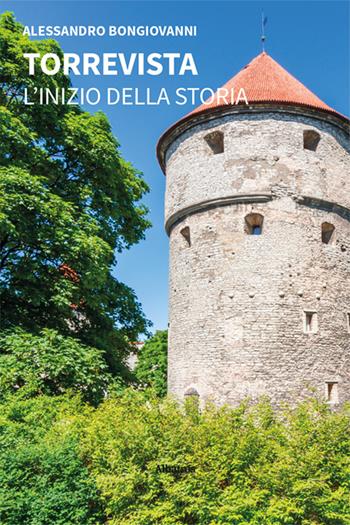 Torrevista. L'inizio della storia - Alessandro Bongiovanni - Libro Gruppo Albatros Il Filo 2024, Nuove voci. Strade | Libraccio.it