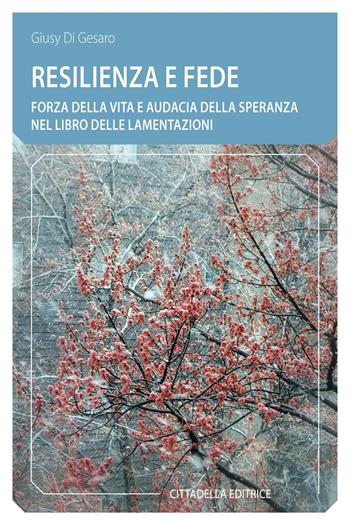 Resilienza e fede. Forza della vita e audacia della speranza nel Libro delle Lamentazioni - Giusy Di Gesaro - Libro Cittadella 2021, Comunità cristiana. Linee emergenti | Libraccio.it