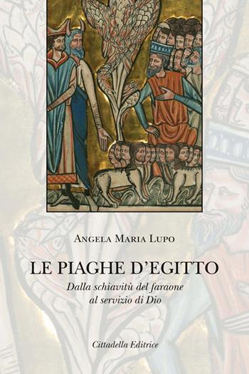 Le piaghe d'Egitto. Dalla schiavitù del faraone al servizio di Dio - Angela Maria Lupo - Libro Cittadella 2021, Commenti e studi biblici | Libraccio.it
