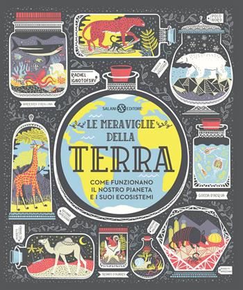 Le meraviglie della Terra. Come funzionano il nostro pianeta e i suoi ecosistemi - Rachel Ignotofsky - Libro Salani 2020, Illustrati | Libraccio.it