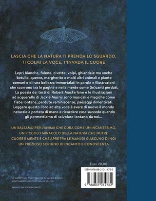 Il barbagianni, la volpe e la quercia - Robert Macfarlane - Libro Salani 2023 | Libraccio.it