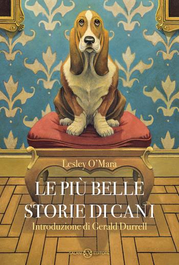 Le più belle storie di cani - Lesley O'Mara - Libro Salani 2023, Fuori collana Salani | Libraccio.it