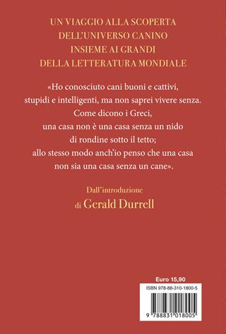 Le più belle storie di cani - Lesley O'Mara - Libro Salani 2023, Fuori collana Salani | Libraccio.it