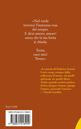 Disperato amore - Federico García Lorca - Libro Salani 2024, Poesie per giovani innamorati | Libraccio.it