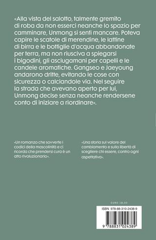 Un perfetto casalingo. Storia di un mancato avvocato e di una passione imprevista - Seonwoo Kang - Libro Salani 2025, Le stanze | Libraccio.it