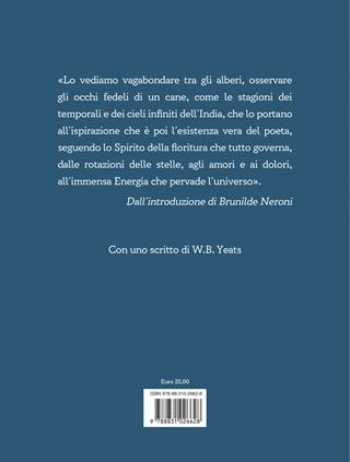 Dall'erba dei campi alle stelle del cielo - Rabindranath Tagore - Libro Salani 2025 | Libraccio.it
