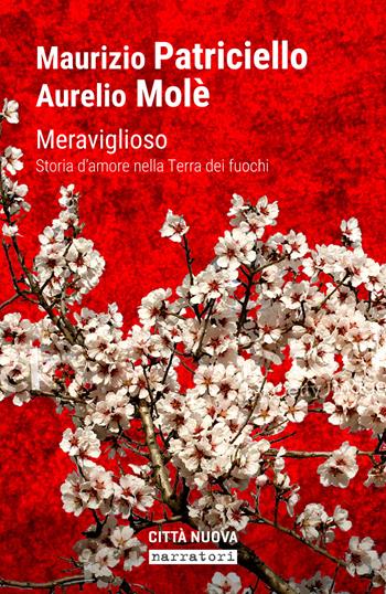 Meraviglioso. Storia d'amore nella «terra dei fuochi» - Maurizio Patriciello, A. Mole - Libro Città Nuova 2018, Passaparola | Libraccio.it