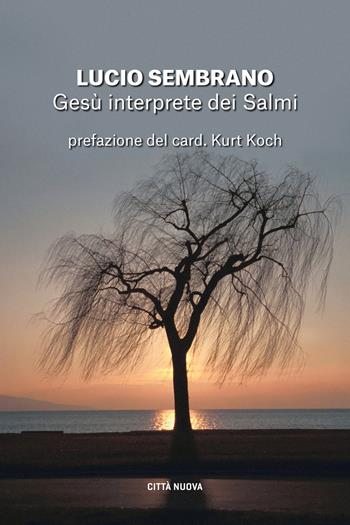 Gesù interprete dei Salmi. Fedeltà alla tradizione e novità di senso - Lucio Sembrano - Libro Città Nuova 2022, I Prismi. Segni | Libraccio.it