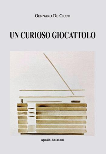 Un curioso giocattolo - Gennaro De Cicco - Libro Apollo Edizioni 2021, Il tempo | Libraccio.it