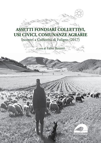 Assetti fondiarî collettivi, usi civici, comunanze agrarie. Incontri a Colfiorito di Foligno (2017)  - Libro Il Formichiere 2021, Domini collettivi | Libraccio.it