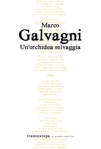 Un'orchidea selvaggia - Marco Galvagni - Libro Transeuropa 2020, Nuova poetica | Libraccio.it