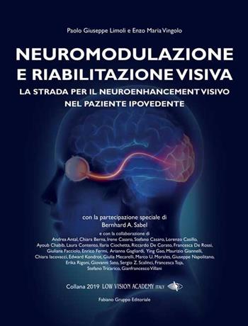 Neuromodulazione e Riabilitazione visiva. La strada per il neuroenhancement visivo nel paziente ipovedente - Paolo Giuseppe Limoli, Enzo Maria Vingolo - Libro Fabiano 2019 | Libraccio.it