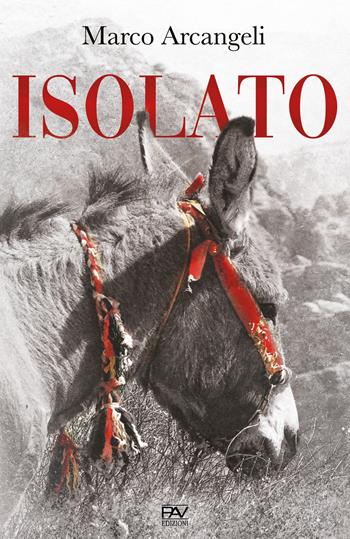 Isolato - Marco Arcangeli - Libro Pav Edizioni 2020, Romanzo | Libraccio.it