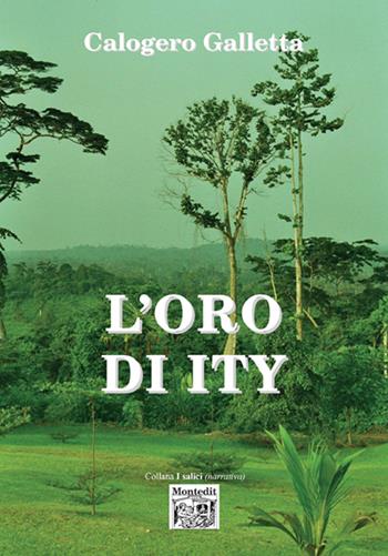 L' oro di Ity - Calogero Galletta - Libro Montedit 2020, I salici | Libraccio.it