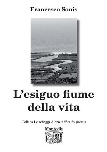 L' esiguo fiume della vita - Francesco Sonis - Libro Montedit 2020, Le schegge d'oro (i libri dei premi) | Libraccio.it