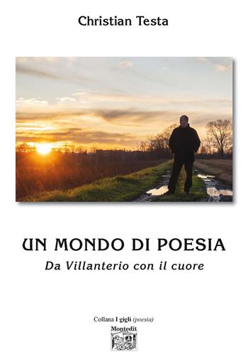 Un mondo di poesia. Da Villanterio con il cuore - Christian Testa - Libro Montedit 2020, I gigli | Libraccio.it