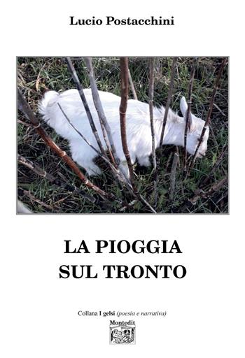 La pioggia sul Tronto - Lucio Postacchini - Libro Montedit 2020, I gelsi | Libraccio.it