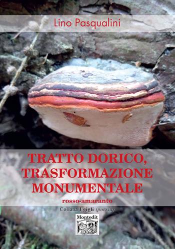 Tratto dorico, trasformazione monumentale - Lino Pasqualini - Libro Montedit 2020, I gigli | Libraccio.it