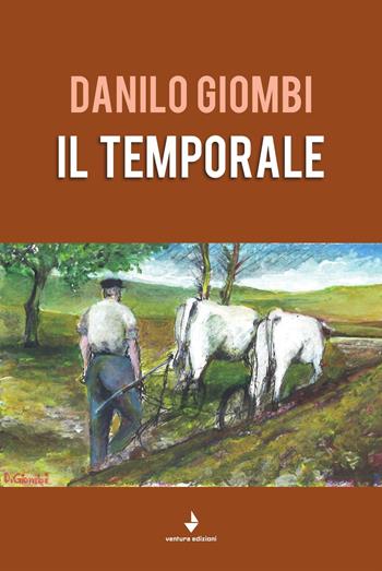 Il temporale - Danilo Giombi - Libro Venturaedizioni 2019, Spiaggia libera | Libraccio.it