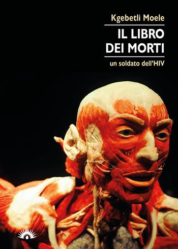 Il libro dei morti. Un soldato dell'HIV - Kgebetli Moele - Libro Marotta e Cafiero 2021, Le zanzare | Libraccio.it