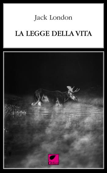 La legge della vita. Ediz. integrale - Jack London - Libro Ortica Editrice 2020, Le erbacce | Libraccio.it