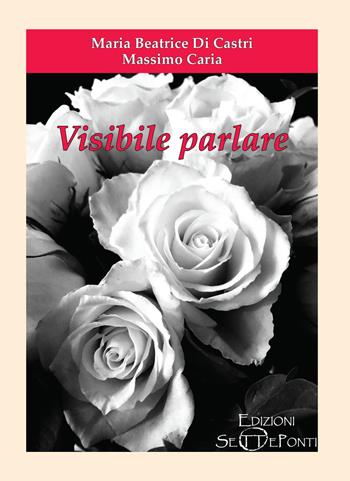 Visibile parlare - Maria Beatrice Di Castri, Massimo Caria - Libro Edizioni Setteponti 2021, Verbo visivo | Libraccio.it