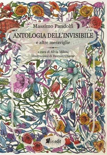 Antologia dell'invisibile e altre meraviglie - Massimo Pandolfi - Libro in.edit 2021 | Libraccio.it