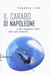 Il carabo di Napoleone e altri enigmatici insetti delle isole atlantiche