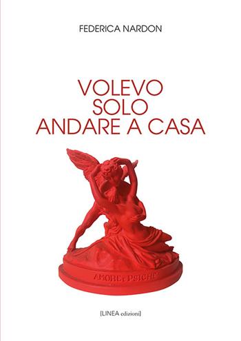 Volevo solo andare a casa - Federica Nardon - Libro Linea Edizioni 2021, Linea narrativa | Libraccio.it
