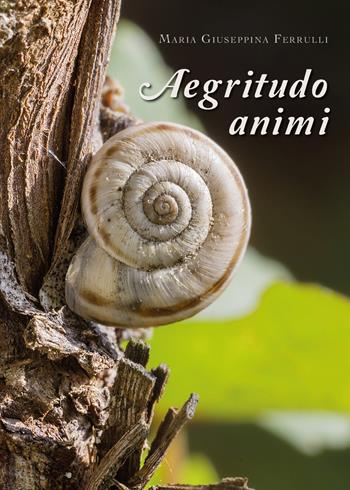 Aegritudo animi - Maria Giuseppina Ferrulli - Libro Youcanprint 2019 | Libraccio.it