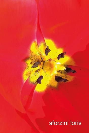 IoX - Loris Sforzini - Libro Youcanprint 2019 | Libraccio.it