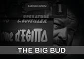 The big Bud. Ediz. illustrata