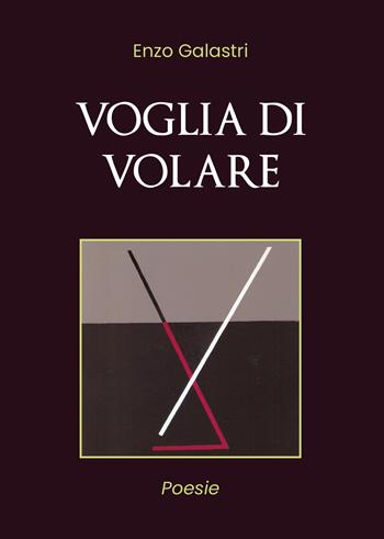Voglia di volare - Vincenzo Galastri - Libro Youcanprint 2019 | Libraccio.it