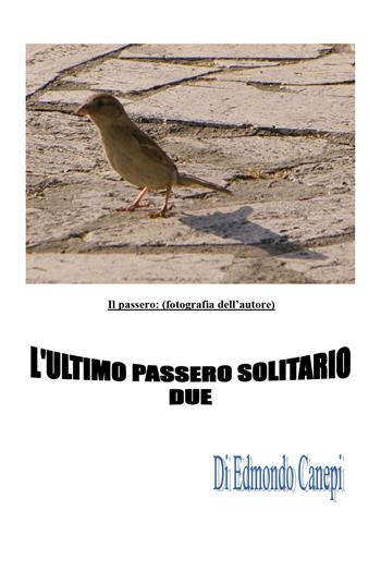 L' ultimo passero solitario - Edmondo Canepi - Libro Youcanprint 2019 | Libraccio.it