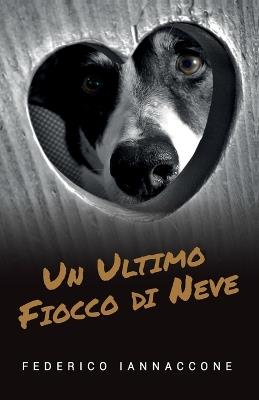 Un ultimo fiocco di neve - Federico Iannaccone - Libro Youcanprint 2019 | Libraccio.it