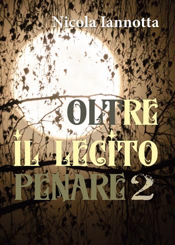 Oltre il lecito penare. Vol. 2 - Nicola Iannotta - Libro Youcanprint 2019 | Libraccio.it