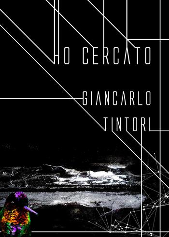 Ho cercato - Giancarlo Tintori - Libro Youcanprint 2020 | Libraccio.it