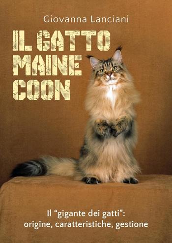 Il gatto Maine Coon - Giovanna Lanciani - Libro Youcanprint 2020 | Libraccio.it