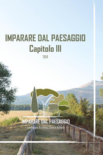 Imparare dal paesaggio. Vol. 3 - Chiara Aufiero - Libro Youcanprint 2020 | Libraccio.it