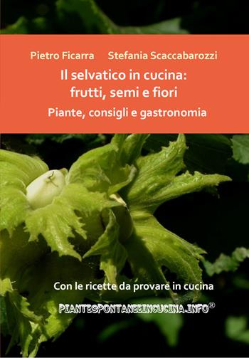 Il selvatico in cucina: frutti, semi e fiori. Piante, consigli e gastronomia - Pietro Ficarra, Stefania Scaccabarozzi - Libro Youcanprint 2020 | Libraccio.it