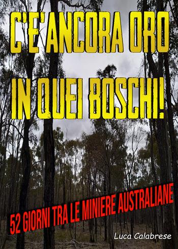 C'è ancora oro in quei boschi! 52 giorni tra le miniere australiane - Luca Calabrese - Libro Youcanprint 2020 | Libraccio.it