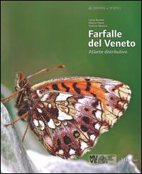 Farfalle del Veneto. Atlante distributivo. Ediz. italiana e inglese - Lucio Bonato, Marco Uliana - Libro Marsilio 2014 | Libraccio.it