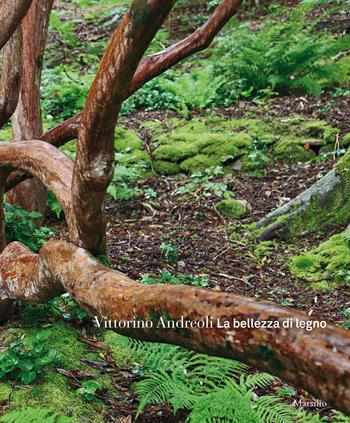 La bellezza di legno. Ediz. a colori - Vittorino Andreoli - Libro Marsilio 2017 | Libraccio.it