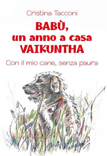 Babù, un anno a casa Vaikuntha. Con il mio cane, senza paura - Cristina Tacconi - Libro Primula 2019 | Libraccio.it